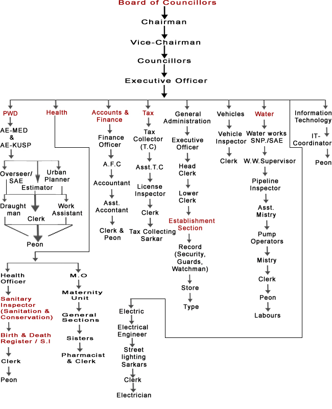 department_chart